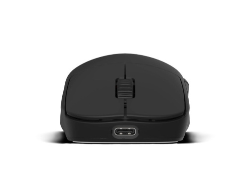 Endgame Gear OP1w 4k v2 Gamer Egér
