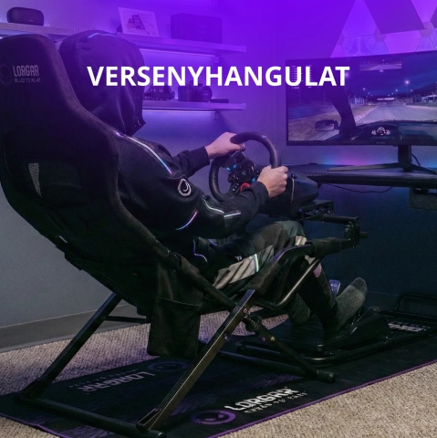 Lorgar RX1FM Szimuláro Szőnyeg