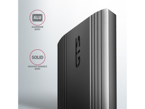 Axagon EEM2-GTS2 SSD ház