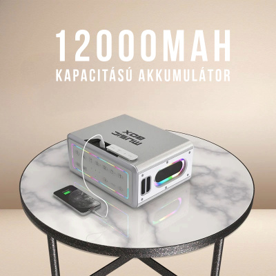 HiFuture Musicbox hordozható karaoke hangszóró - Ezüst