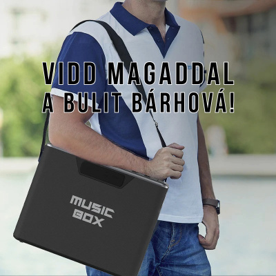 HiFuture Musicbox hordozható karaoke hangszóró - Ezüst
