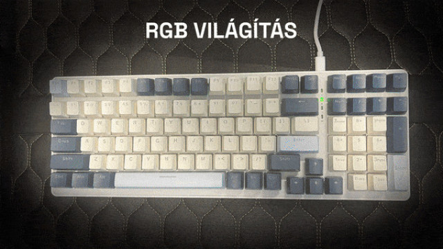 Acer OKW214 Mechanikus Gamer Billentyűzet - Kék-Fehér - Angol kiosztás!