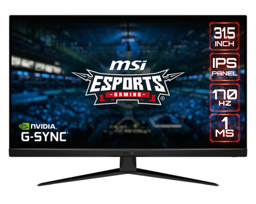 MSI G321Q Gamer Monitor 170Hz - 31.5"