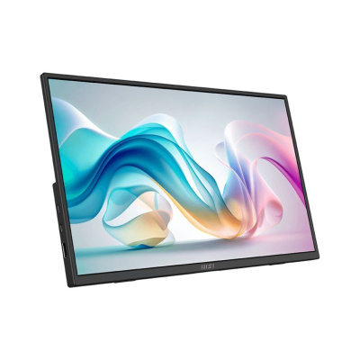 MSI PRO MP165 E6 Hordozható Üzleti Monitor - 15.6"
