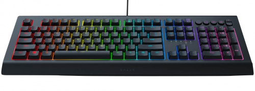 Razer Cynosa V2 Gamer Billentyűzet - Magyar kiosztás
