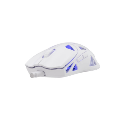 White Shark Dagonet