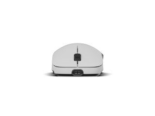 Endgame Gear XM2w 4k v2 Gamer Egér