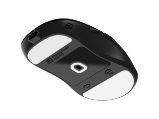 Endgame Gear XM2we Vezeték nélküli Egér