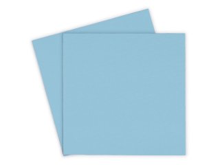 Thermal Grizzly Minus Pad Pro 100x100x1,0mm