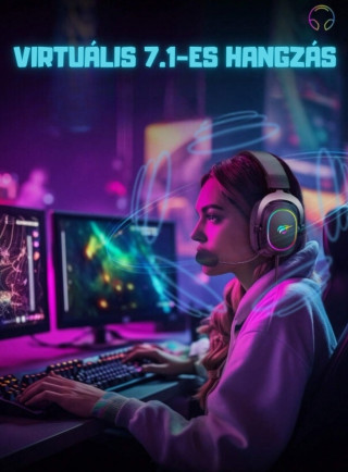 Havit Gamenote H2002P Gamer Headset