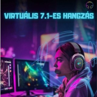 Havit Gamenote H2002P Virtual 7.1 Gamer Headset