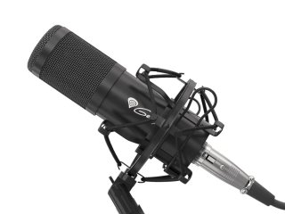 Genesis Radium 300 Stúdió mikrofon XLR fekete