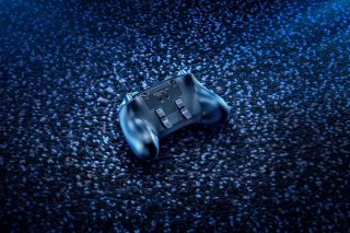 Razer Wolverine V2 Pro Playstation - Fekete