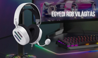 Havit Gamenote H2038U Gamer Headset