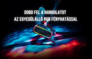 Havit SK862BT Vízálló Kültéri Bluetooth hangszóró
