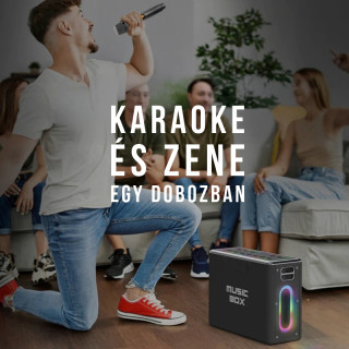 HiFuture Musicbox hordozható karaoke hangszóró - Ezüst