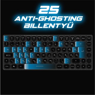 Spirit of Gamer ELITE K70 TKL Gamer billentyűzet - Magyar Kiosztás