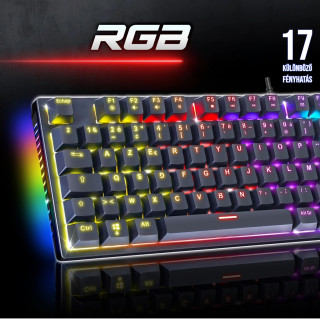 Spirit of Gamer XPERT K250 Mechanikus Gamer billentyűzet - HU