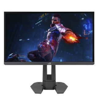 Asus ROG Swift Pro PG248QP Gaming Monitor 24,1"