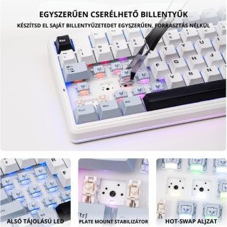 AULA F87 PRO V2 Vezeték Nélküli Mechanikus Gamer Billentyűzet - Fehér-Kék
