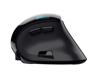 Trust Voxx Vezeték Nélküli Ergonómikus Egér