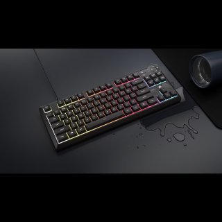 CORSAIR K55 CORE TKL RGB