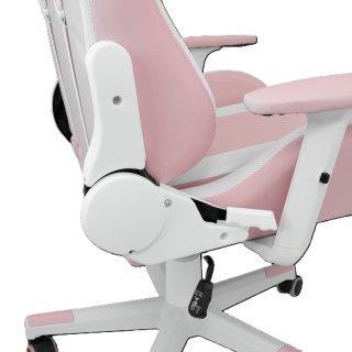 White Shark Roxy Gamer Szék - Pink